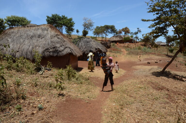 Tanzania 2015 dinsdag 6 oktober (166)